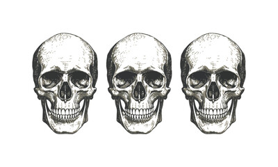 Skull and crossbones on black background illustration