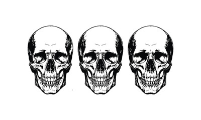 Skull and crossbones skeleton head illustration symbol of death and danger