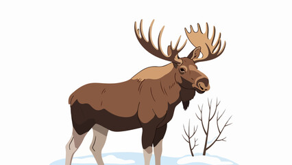 Fototapeta premium Majestic moose standing in a serene winter landscape with snow-covered ground and light blue sky