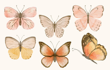 Hand painted watercolor butterflies in soft pastel tones. Elegant insect illustration set inspired by nature.