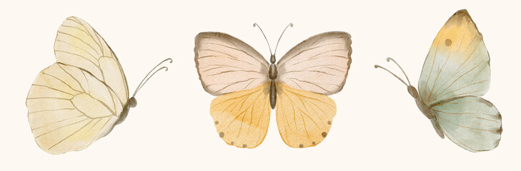 Soft watercolor butterflies in light yellow pastel tones. Delicate nature illustration inspired by spring calmness.