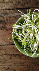 sunflower sprout in green ceranic blow  on old wood table kitchen