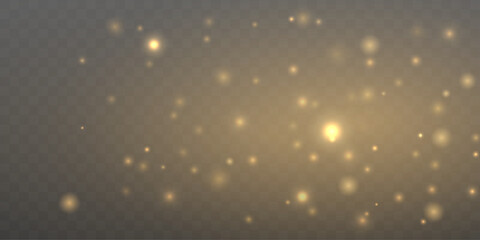 Golden dust particles float softly, creating a radiant warm glow. Gentle shimmering motion adds depth and visual harmony. Ideal for elegant atmospheric compositions vector