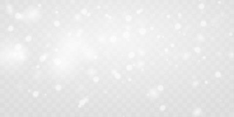 White sparkling dust floats gently with subtle light. Airy powder adds winter magic and calm motion. Great overlay for holiday visuals and clean backgrounds vector © Romstock