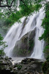 Fototapeta premium waterfall in the forest