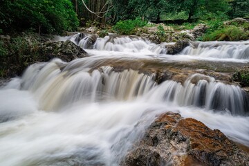 Fototapeta premium waterfall in the forest
