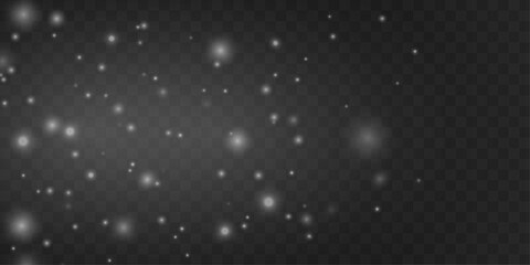 Obraz premium Airy white dust shines with soft shimmering light. Floating particles add festive calm and balance. Perfect texture overlay for Christmas and winter visuals vector