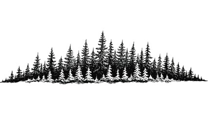 Dense pine forest landscape silhouette in minimal hand drawn vector sketch style