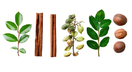 collection set of christmas elements