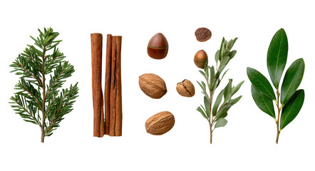 collection set of christmas elements