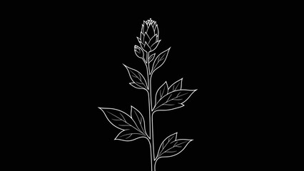 Fototapeta premium Simple White Outline of a Plant.