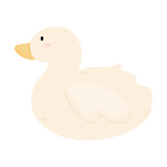 pink, tulip people, blue tulip, tulip festival, spring, red tulip, tulips, botanical, decoration, flowers, blossom, nature, tulips type, purple tulip, tulip illustration, tulip icon, tulip, pink tulip