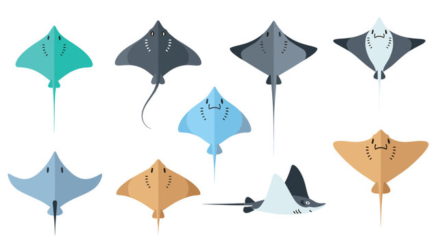 Colorful flat stingray collection in minimalist cartoon style