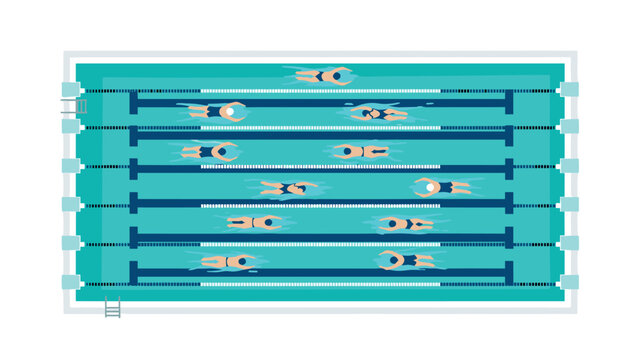 Competitive swimming training in olympic pool from aerial perspective