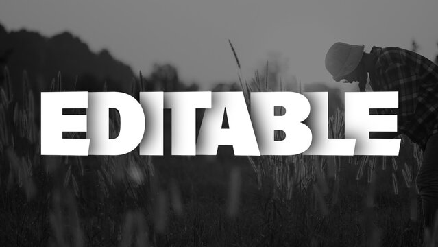 Shadow Typography