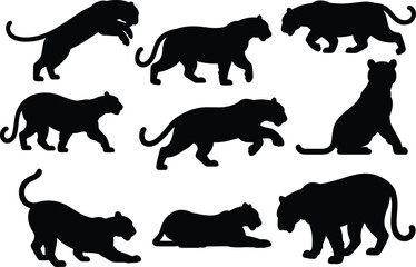Obraz premium Black panther silhouette set wild big cat action poses animal vector illustration isolated on white background predator design