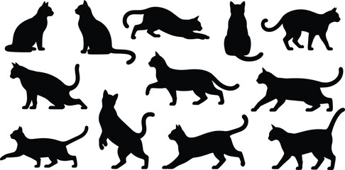 Cat silhouette collection domestic feline movement poses black animal vector illustration isolated on white background pet behavior design © GOLAPI