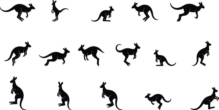 Kangaroo silhouette collection jumping marsupial poses Australian wildlife animal vector illustration isolated on white background nature design