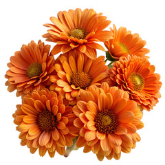 Orange flowers bouquet isolated on transparent background PNG