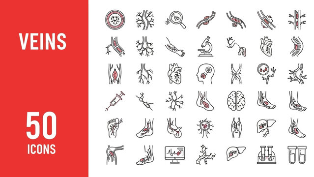 Comprehensive collection of solid sleek vector line icons illustrating human veins, blood vessels, and the circulatory system for medical, health, and anatomical design projects