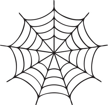 Spider web Drawing, cobwebs, angle, white png