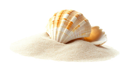 Sea shell sand pile isolated on white, side view PNG