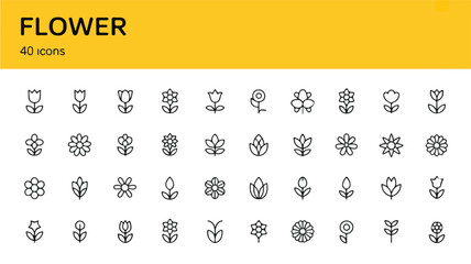 A comprehensive collection of 40 minimalist line art flower icons, offering a diverse array of elegant floral symbols for modern design projects