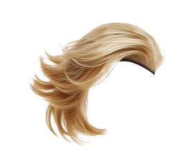  Blond human male hair wig isolated on a png transparent background.