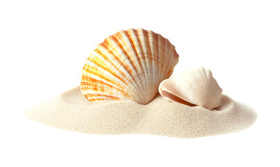Sea shell sand pile isolated on white, side view PNG