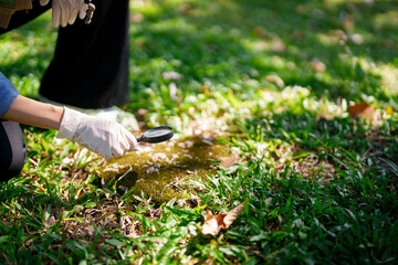 Botanical Researcher Scientist Examine Tiny Moss Plants Soil Using Magnifying Glass For Detail Study Outdoor Natural Environment Greenery Discovery