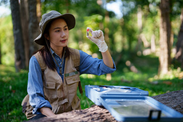 Asian botanist conducts outdoor field research examining plant samples for environmental study and ecosystem analysis in natural forest setting