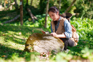 Adult Asian botanist research nature outdoors examining plants with magnifying glass and tablet in forest park environment for scientific study