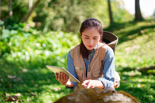 Asian adult woman botanist researcher conducts diligent field study collecting plant data using digital tablet in lush natural forest environment exploring biodiversity