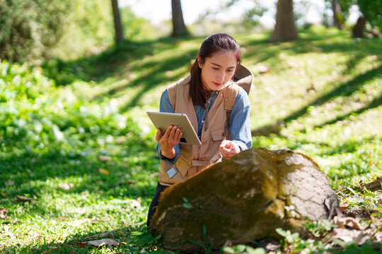 Asian adult woman botanist conducts field research outdoors using a digital tablet for plant observation and environmental data collection