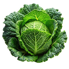 Vibrant, fresh Savoy cabbage with deeply textured, crinkled dark green leaves and prominent white veins, compactly formed and displaying natural growth patterns,, isolated on transparent background.