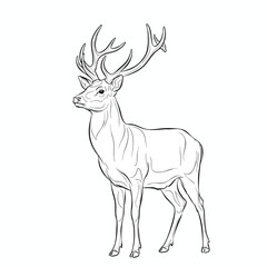 Line drawing of a majestic stag with large antlers, standing on a white backdrop