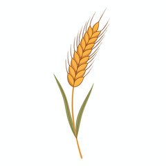 A stylized illustration of a wheat stalk, rendered in flat, soft colors, on white