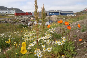qaqortoq, greenland © Paul James Bannerman