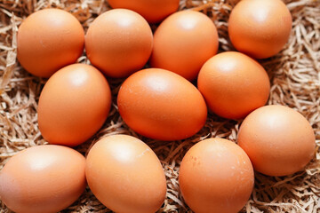 オーガニック卵のクローズアップ