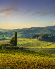Naklejka premium Autumn Chianti Vineyards near Panzano, Tuscany, Italy