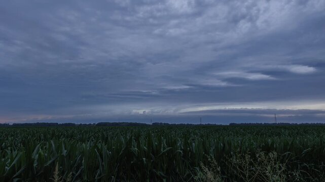 lungo timelapse panoramico da un ambiente naturale di campagna sul cambiamento e la trasformazione delle nuvole grigie in un cielo coperto, al tramonto, in estate, fino all'arrivo di un temporale