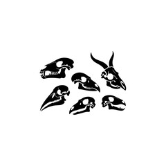 cat, animal, illustration, vector, cartoon, black, kitty, art, drawing, silhouette