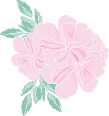 coquette pink Floral Groupings. Vibrant Bouquets and Blooming Gardens