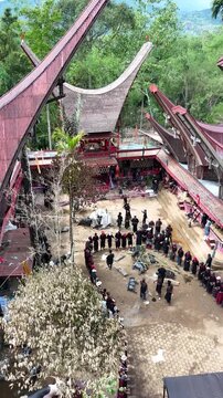 Aerial drone footage capturing the traditional Toraja Rambu Solo ceremony featuring the culturally significant buffalo cutting ritual, documenting the unique funeral tradition and heritage of Toraja