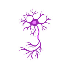 neuron cell vector illustration