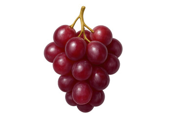 Fototapeta premium Red grapes bunch showing fresh juicy fruit, a healthy diet food and sweet natural snack on transparent background