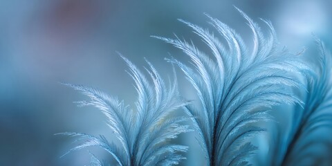 Obraz premium Delicate fern like frost patterns forming on a window pane, creating an elegant cold winter abstract background