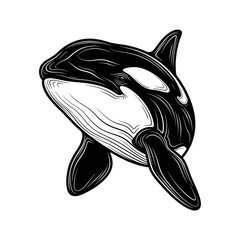 Black and White Orca Whale Illustration. © Taufiq