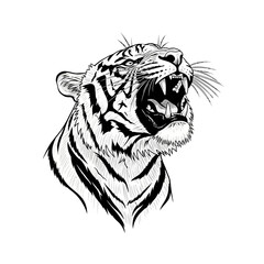 Black and White Tiger Head Illustration. © Taufiq