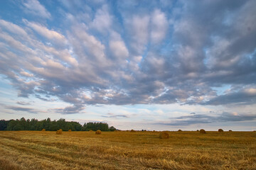 Obraz premium Harvest Field with Hay Bales Under Dramatic Cloudy Sky